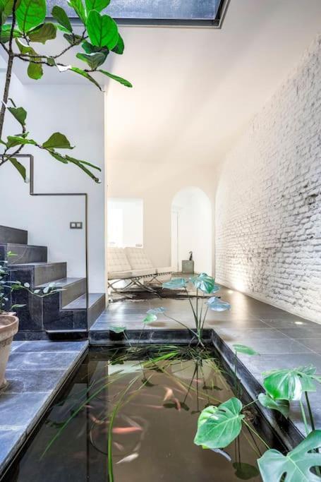 Exclusivo Apartamento De Diseno Centro Sevilla Matahacas Bajo Luaran gambar