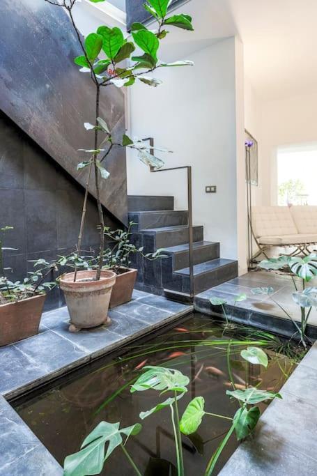 Exclusivo Apartamento De Diseno Centro Sevilla Matahacas Bajo Luaran gambar