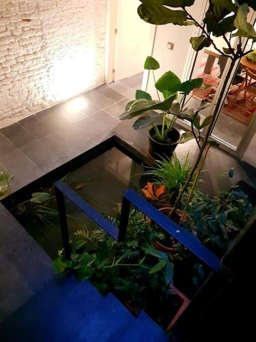 Exclusivo Apartamento De Diseno Centro Sevilla Matahacas Bajo Luaran gambar