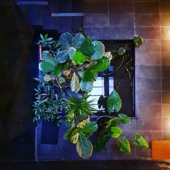 Exclusivo Apartamento De Diseno Centro Sevilla Matahacas Bajo Luaran gambar